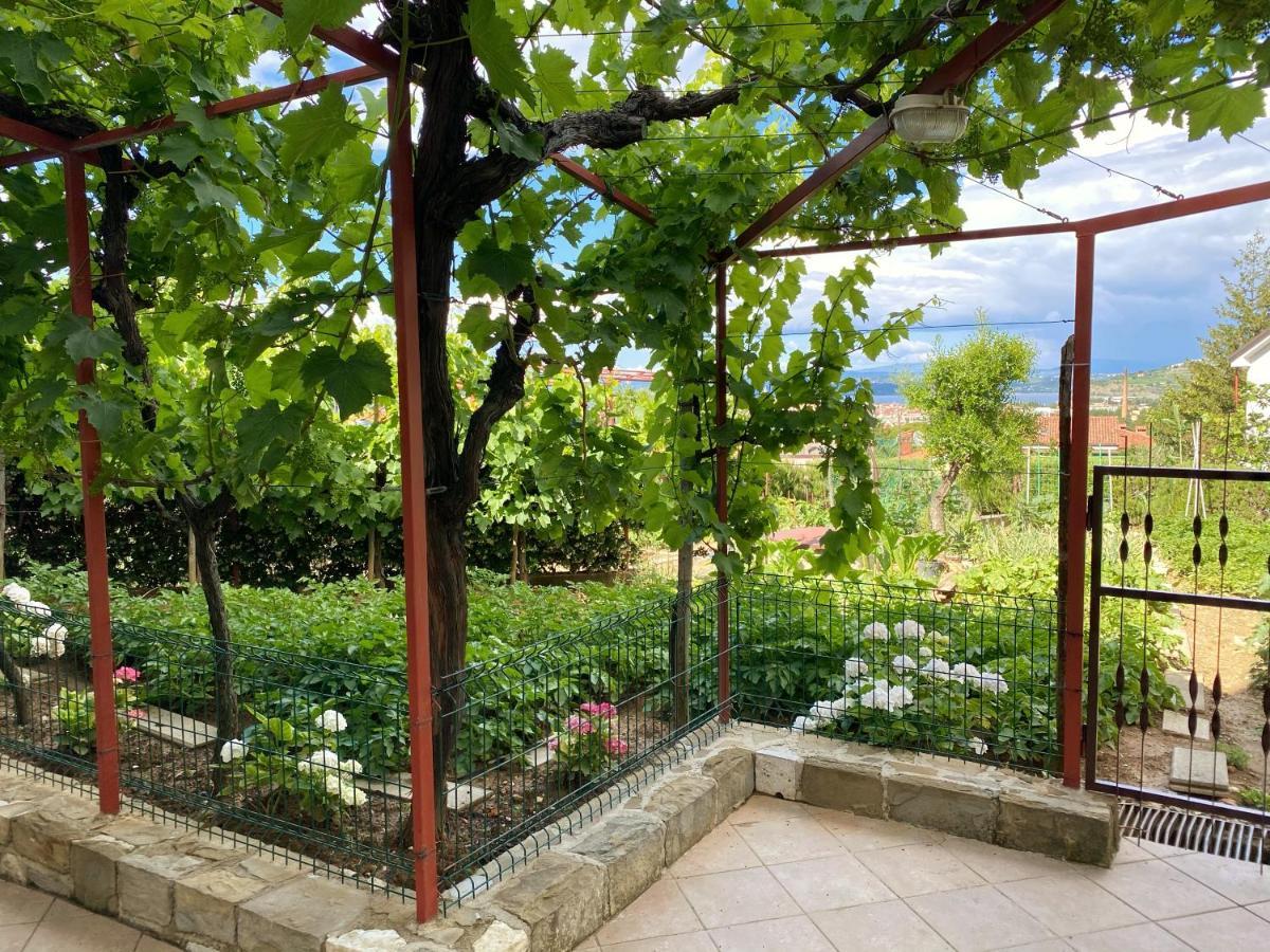 Apartment Gregoric Izola Exterior foto