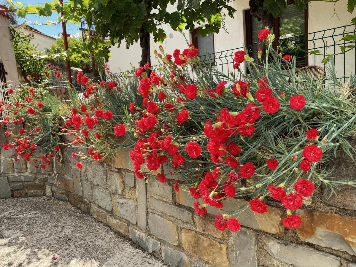 Apartment Gregoric Izola Exterior foto